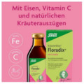 FLORADIX mit Eisen Flüssigkeit zum Einnehmen